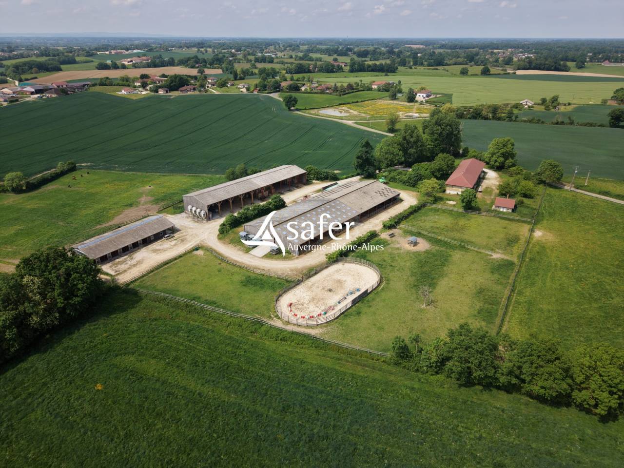Azienda ovina In vendita Ain