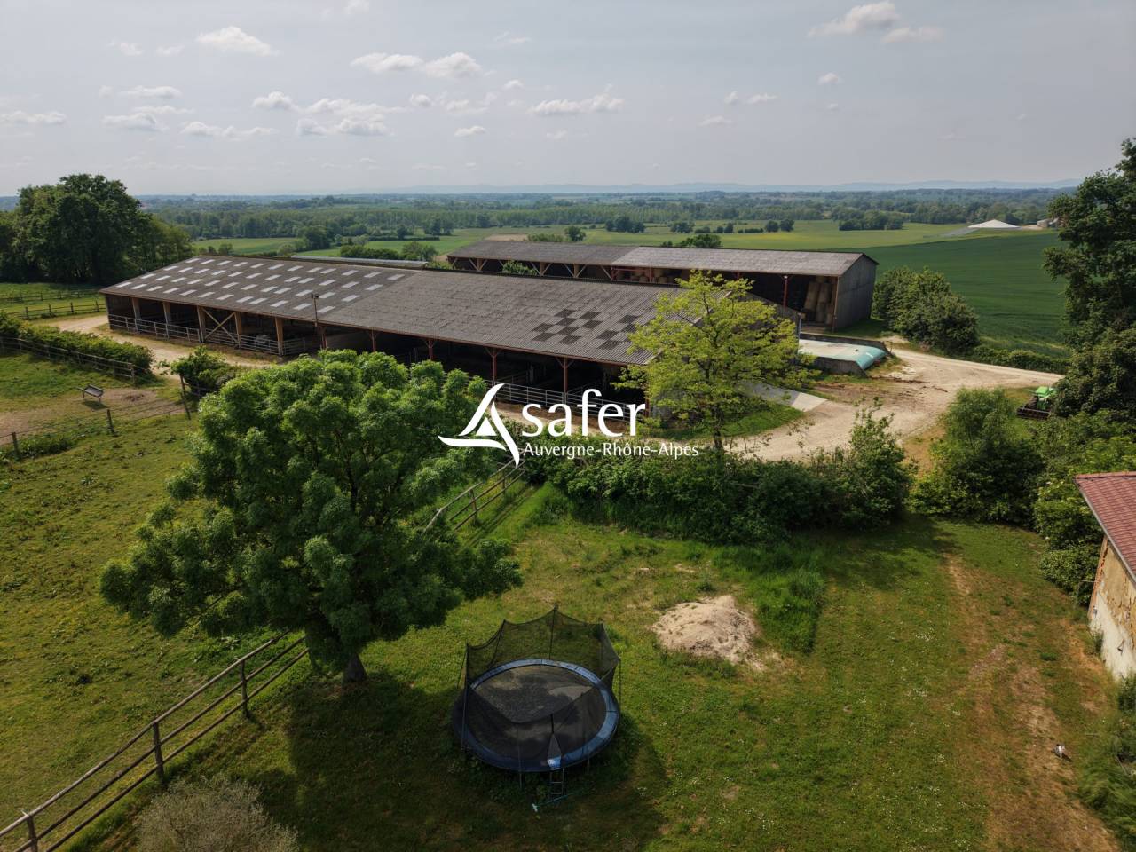 Azienda ovina In vendita Ain