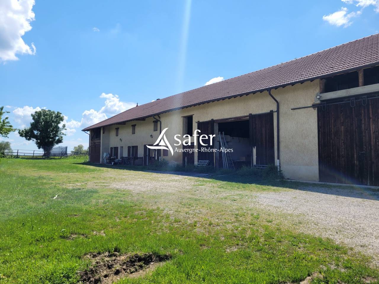 Azienda ovina In vendita Ain