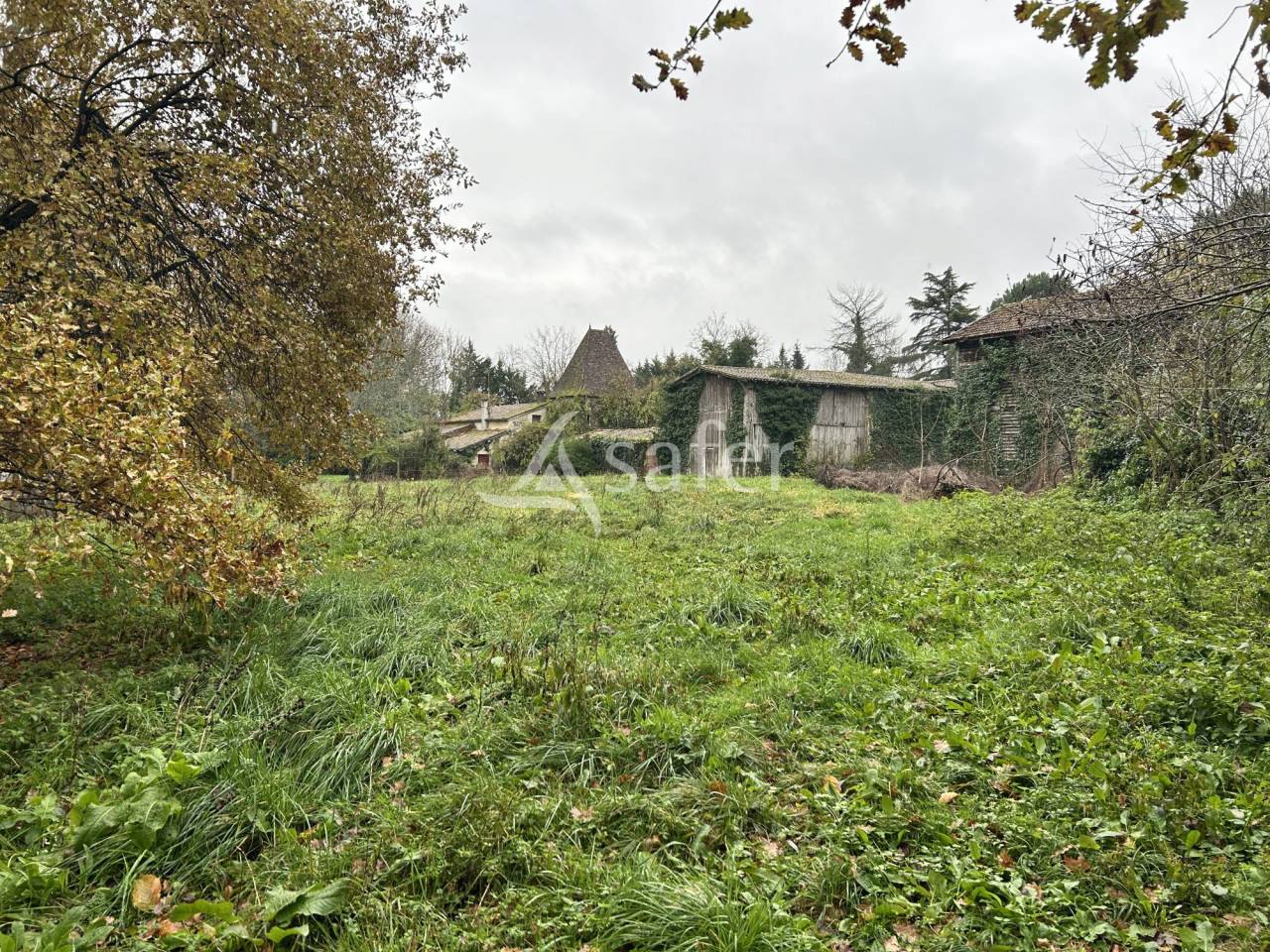 Azienda agricola In vendita Lot-et-Garonne
