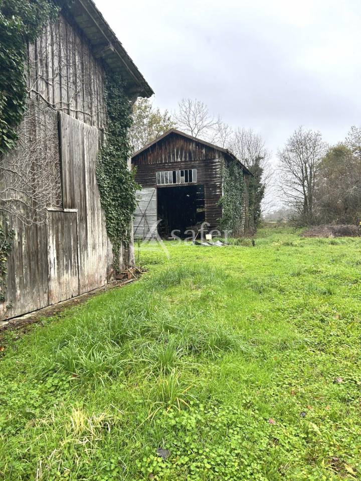 Azienda agricola In vendita Lot-et-Garonne
