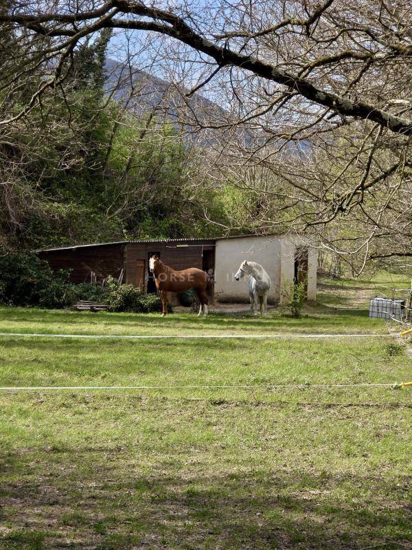 Propriet&agrave; equestre In vendita Dr&ocirc;me