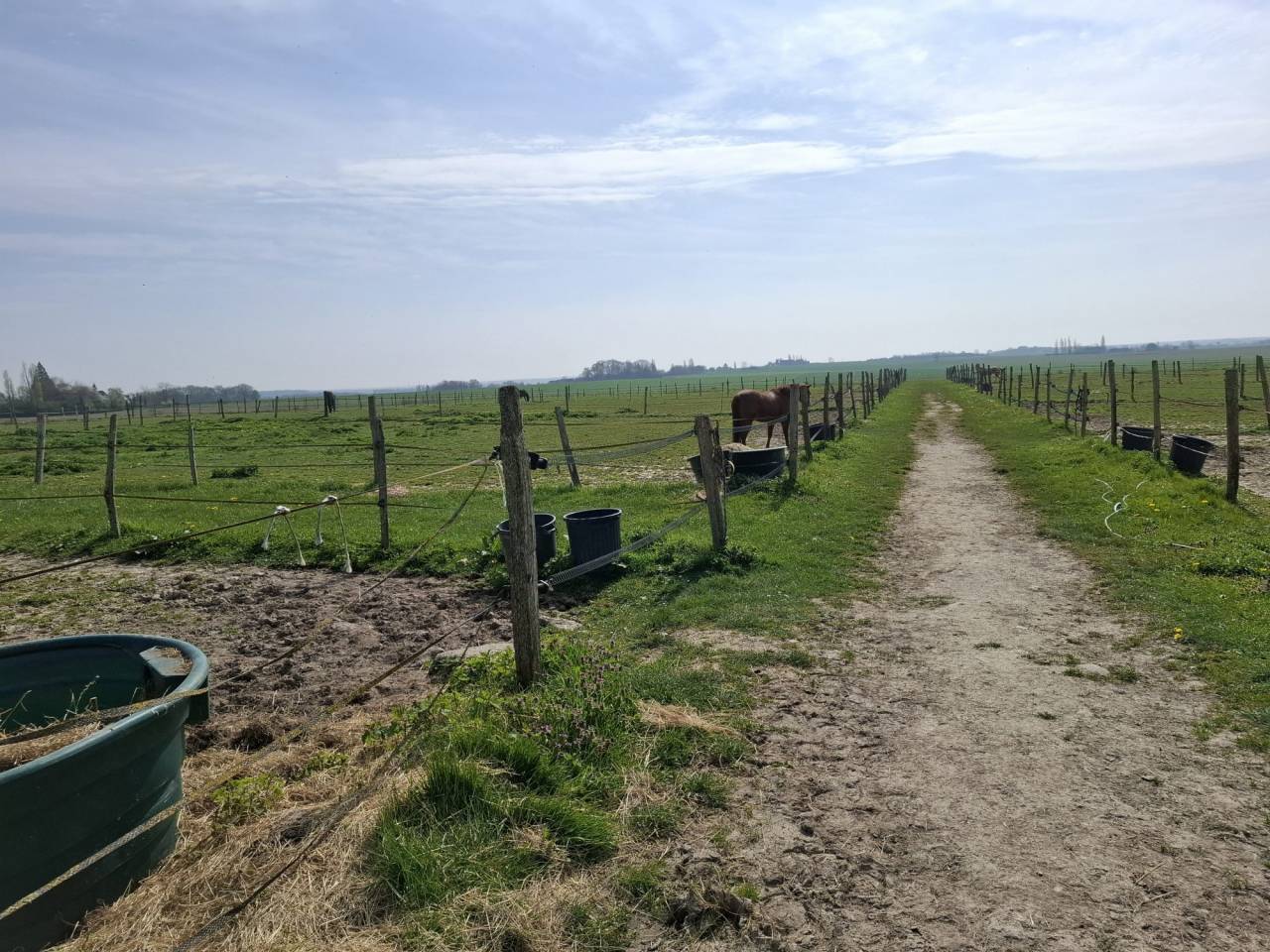Propriet&agrave; equestre In vendita Loiret