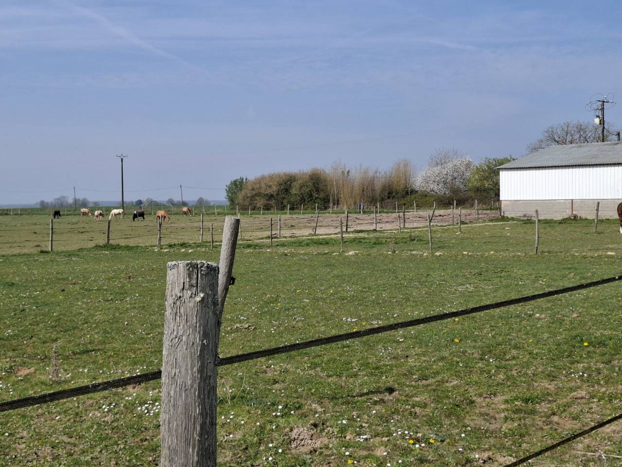 Propriet&agrave; equestre In vendita Loiret