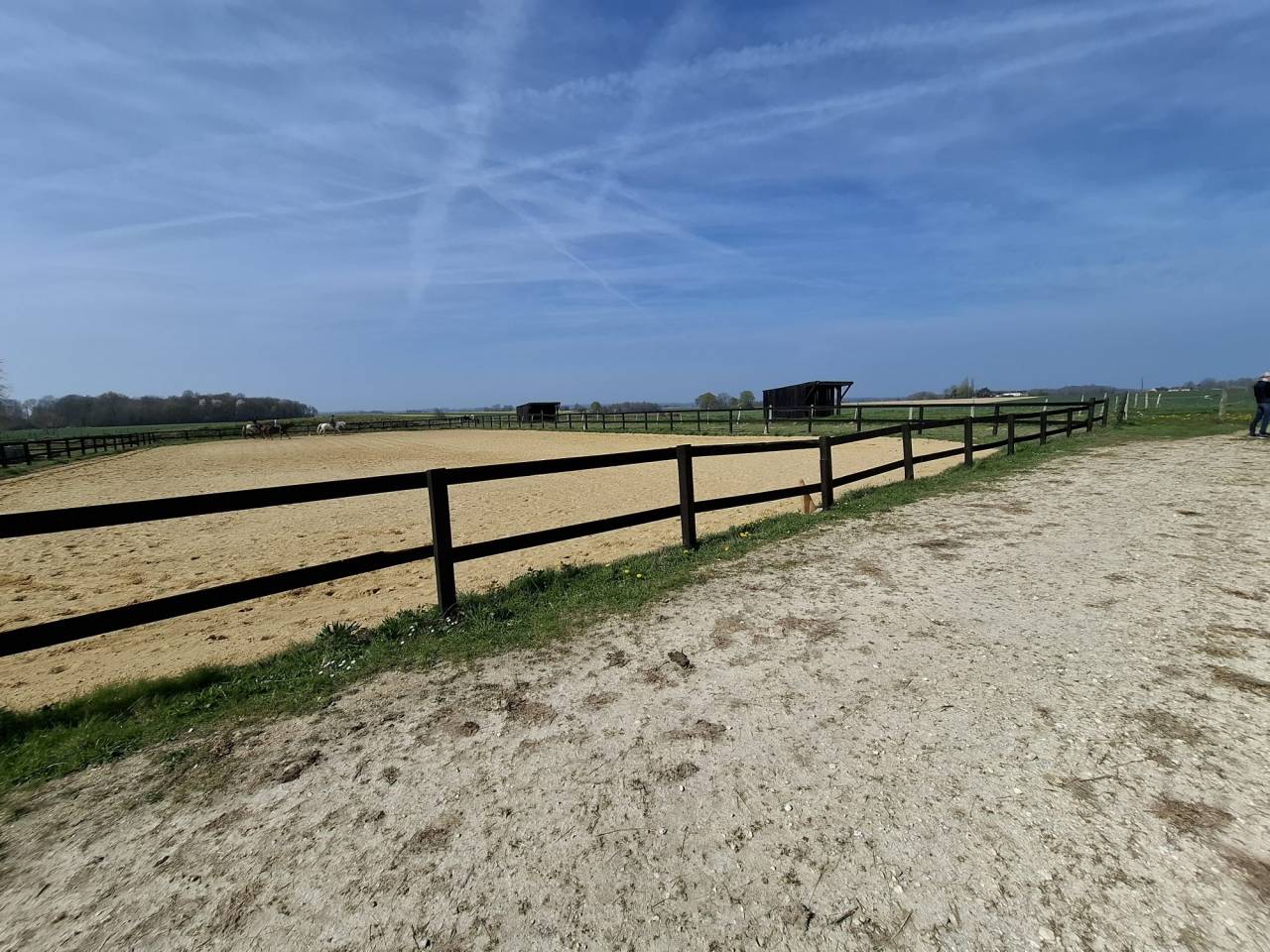 Propriet&agrave; equestre In vendita Loiret