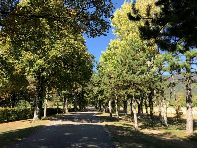 Manager, Scuderia - CDI Tempo pieno - Vaud Svizzera