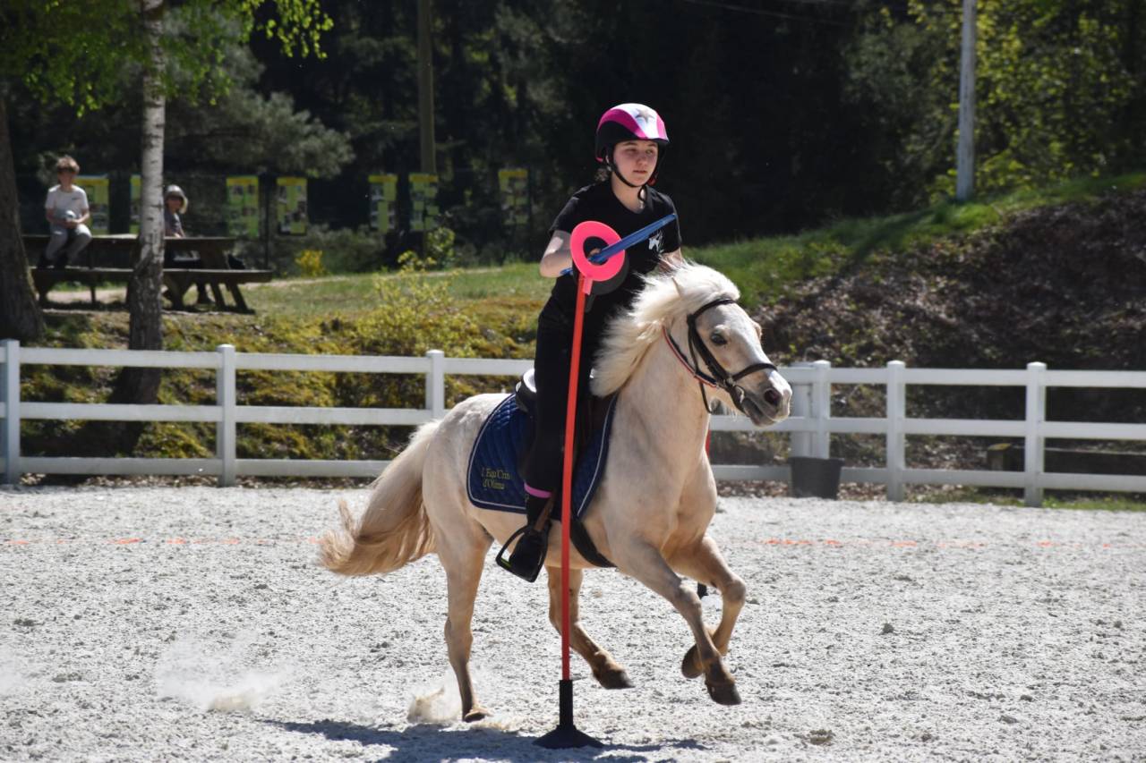 Cavalla Welsh Poney (Sezione B) In vendita 2015 Palomino