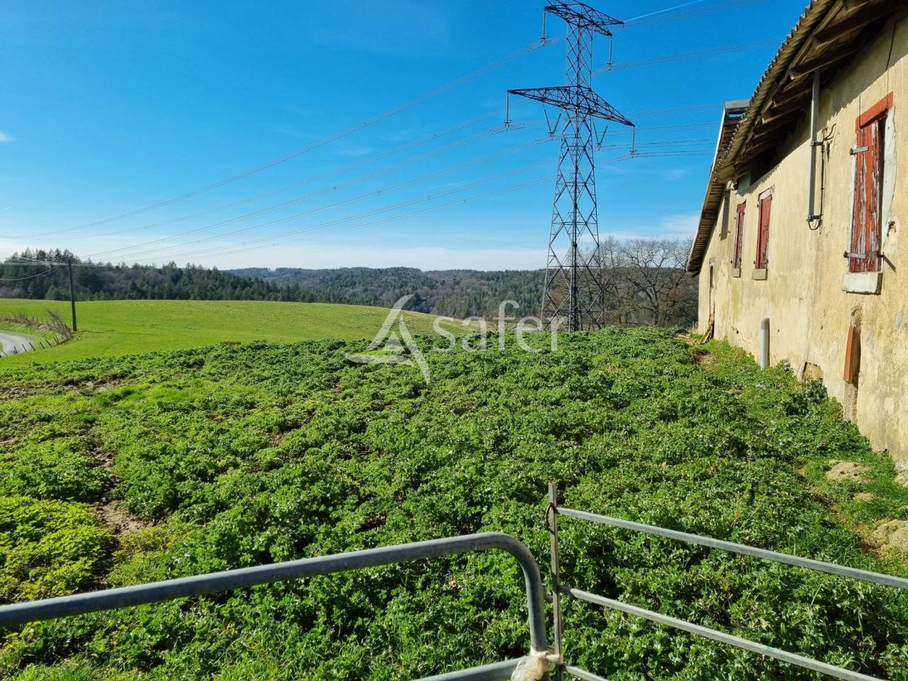 Azienda agricola In vendita Haute-Garonne