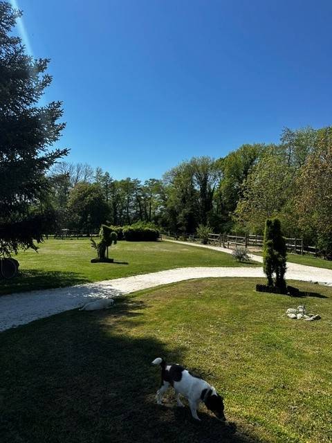 Bella dimora equestre In vendita Ain