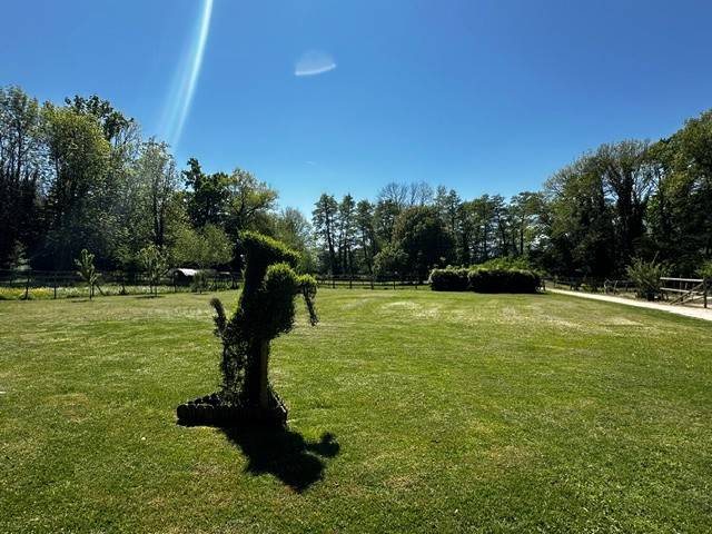 Bella dimora equestre In vendita Ain