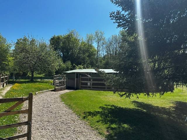 Bella dimora equestre In vendita Ain