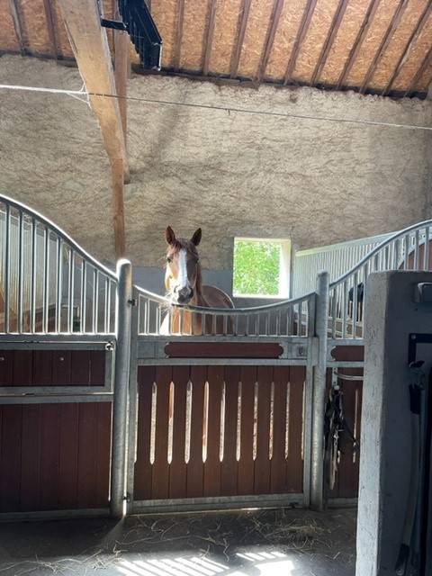 Bella dimora equestre In vendita Ain