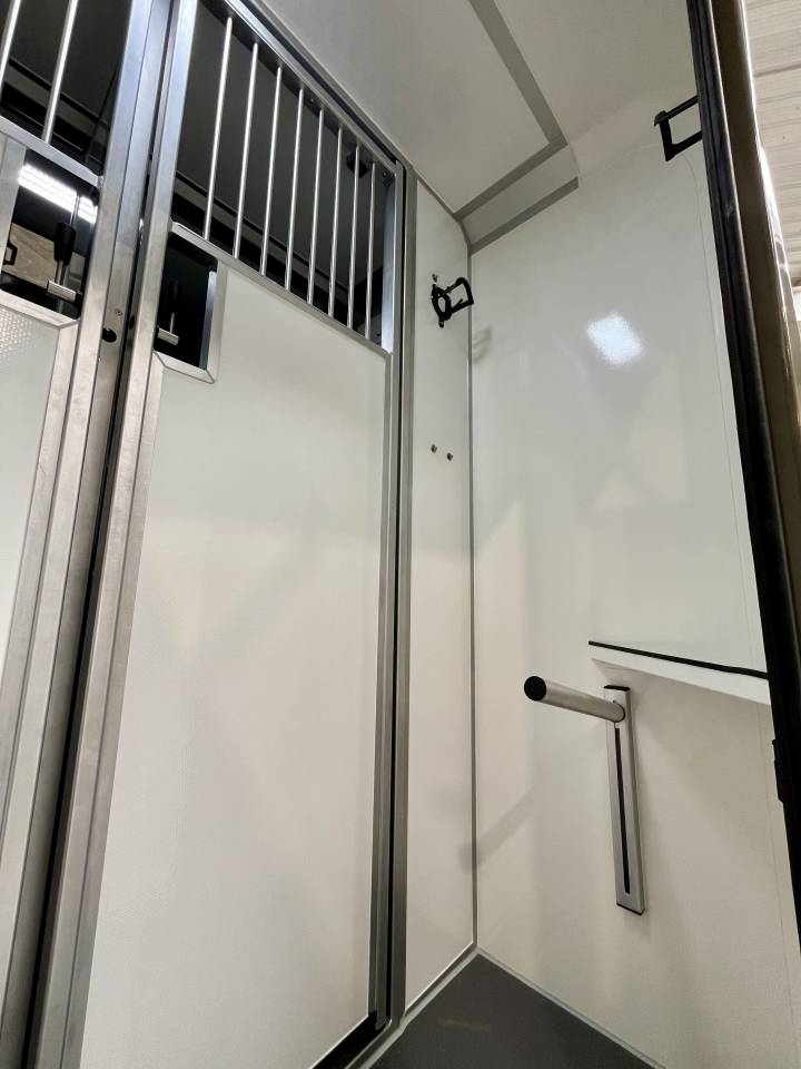 Van per Cavalli AKX  2026 Nuovo