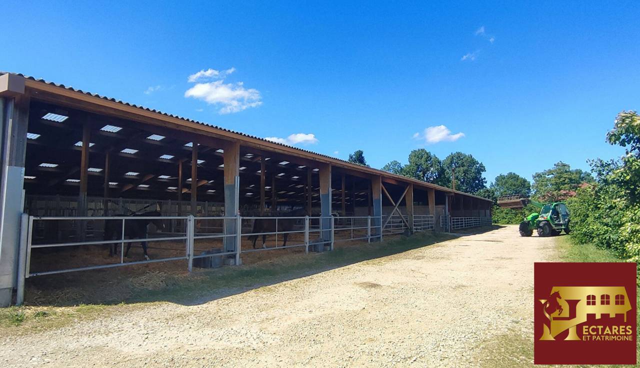 Propriet&agrave; equestre In vendita Ain