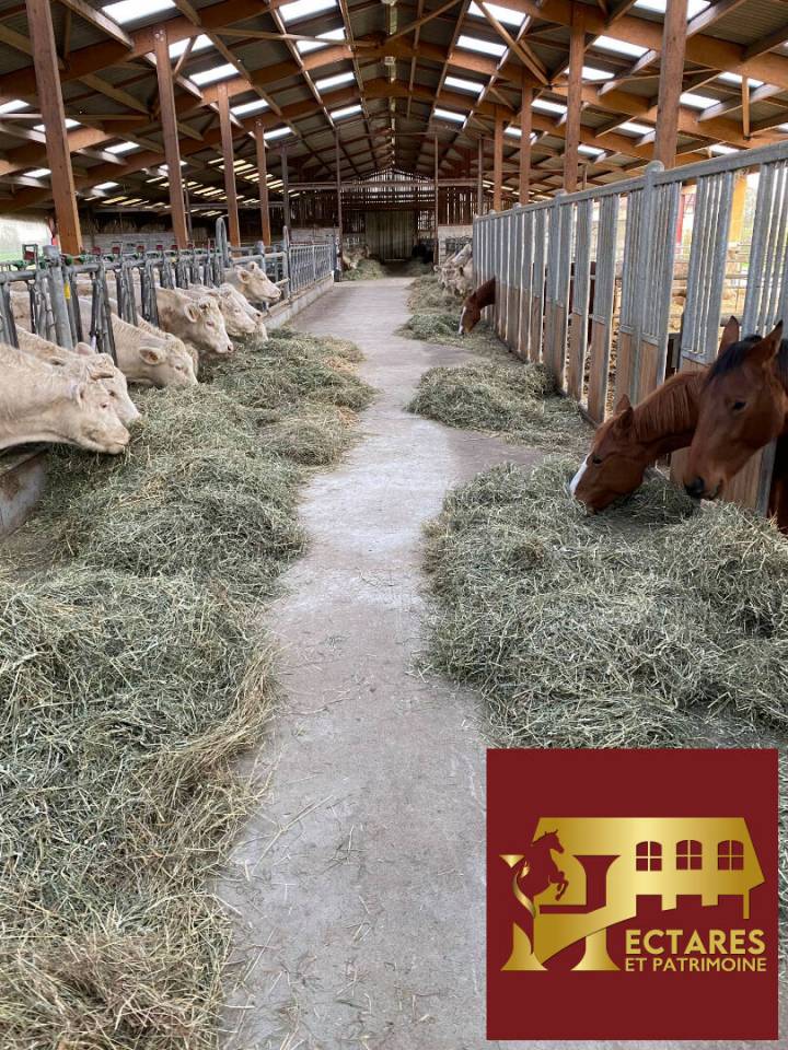 Propriet&agrave; equestre In vendita Ain