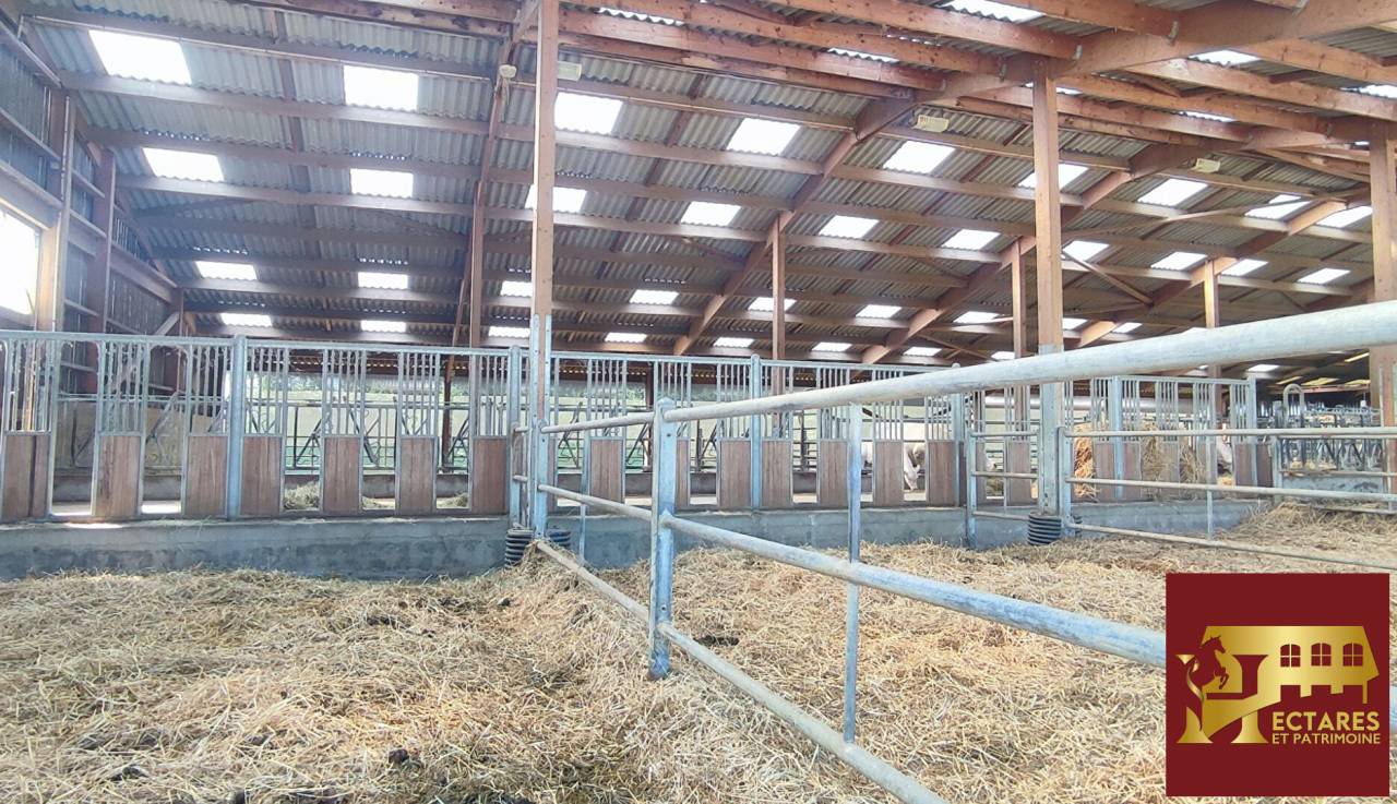 Propriet&agrave; equestre In vendita Ain
