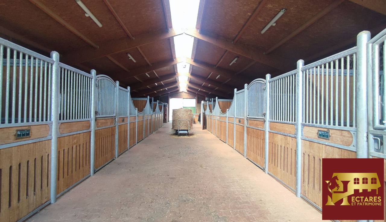 Propriet&agrave; equestre In vendita Ain