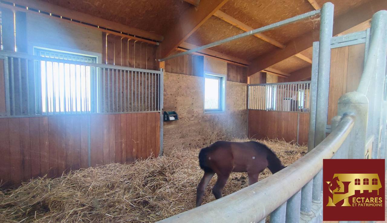Propriet&agrave; equestre In vendita Ain