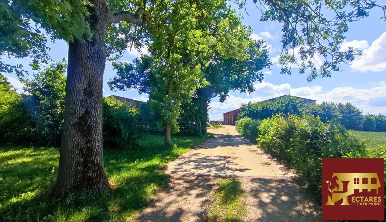 Propriet&agrave; equestre In vendita Ain