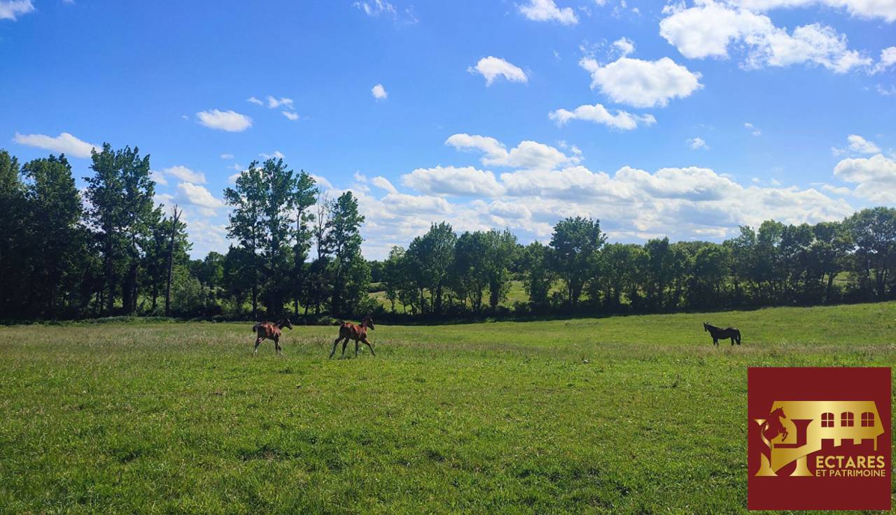Propriet&agrave; equestre In vendita Ain