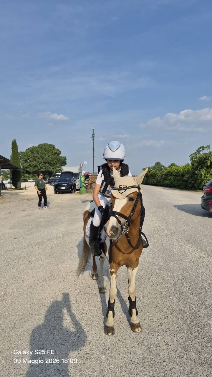 Principessa bella pony pezzata dolcissima.