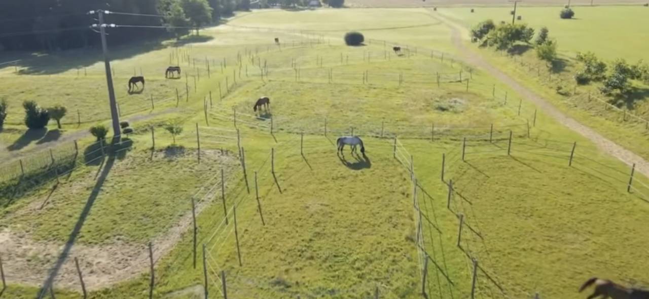 Scuderia per proprietari In vendita Indre-et-Loire