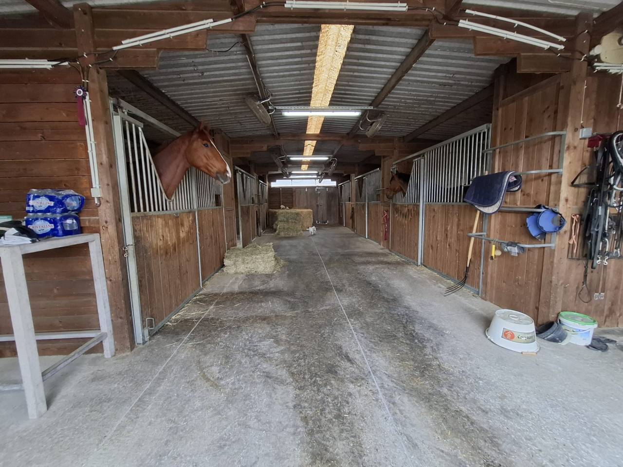 Scuderia per proprietari In vendita Indre-et-Loire