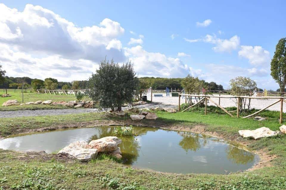 Scuderia per proprietari In vendita Indre-et-Loire