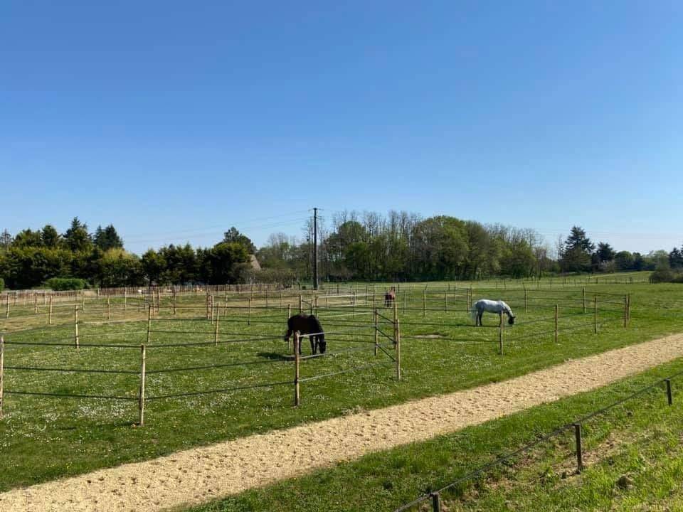 Scuderia per proprietari In vendita Indre-et-Loire