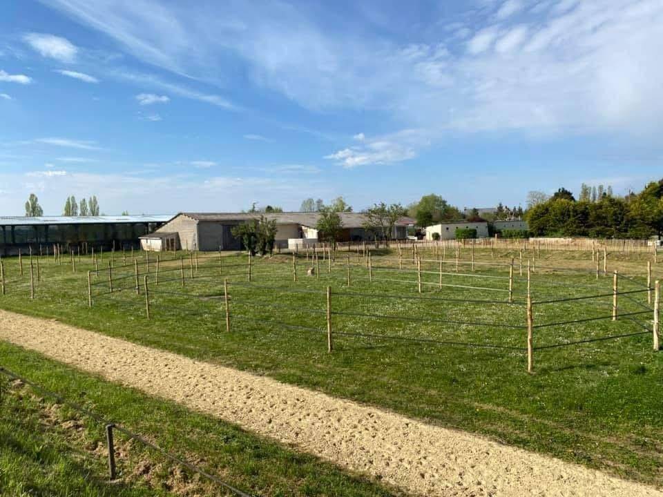 Scuderia per proprietari In vendita Indre-et-Loire