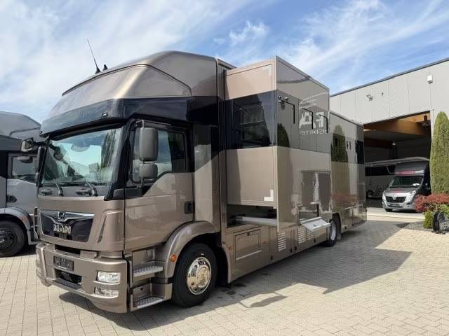 Camion per Cavalli Man MAN 0 Occasione