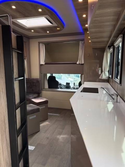 Camion per Cavalli Man MAN 0 Occasione