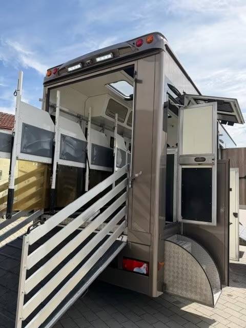 Camion per Cavalli Man MAN 0 Occasione