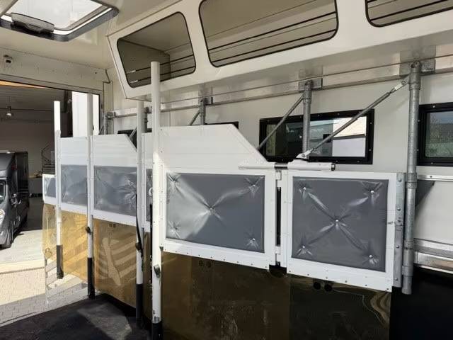 Camion per Cavalli Man MAN 0 Occasione