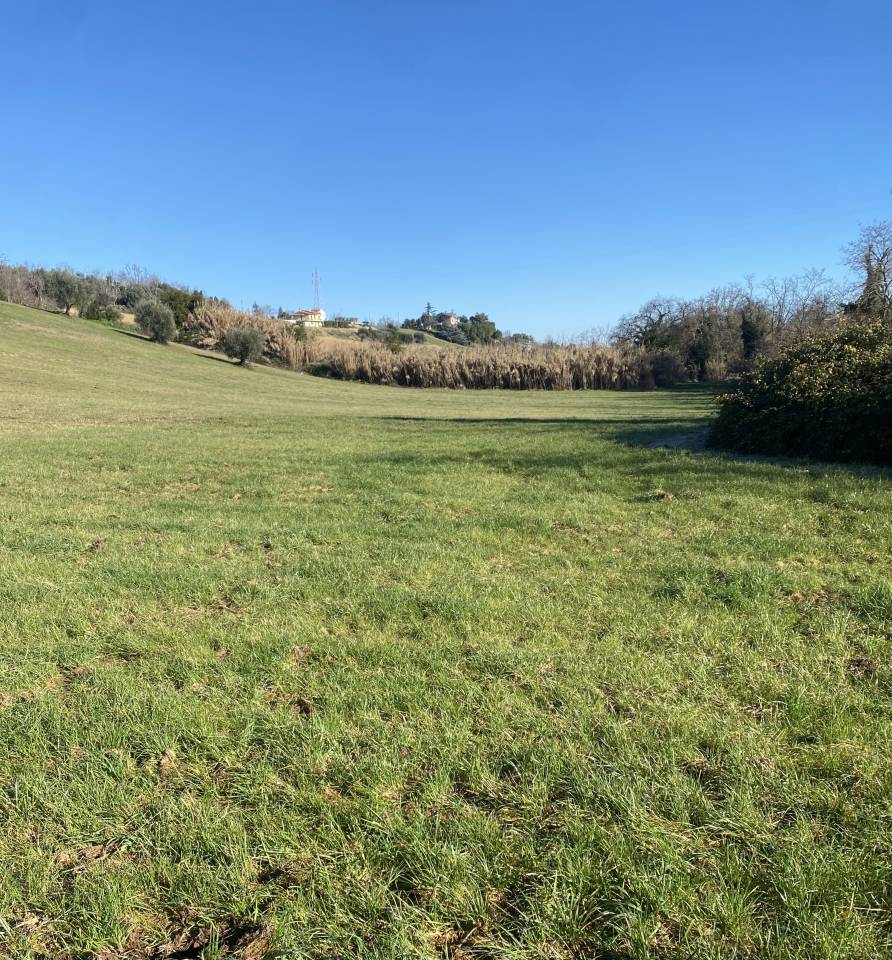 Pensione Base - Azienda Agricola Barbazallo  - Sant&rsquo;Elpidio a Mare