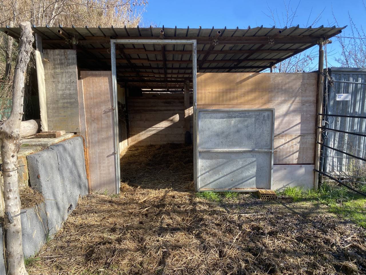 Pensione Base - Azienda Agricola Barbazallo  - Sant&rsquo;Elpidio a Mare