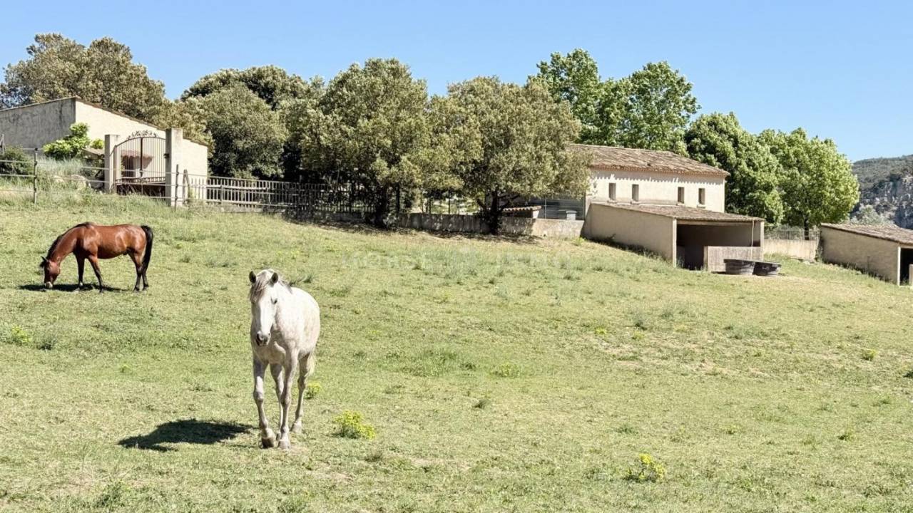 Propriet&agrave; equestre In vendita Alpes-de-Haute-Provence