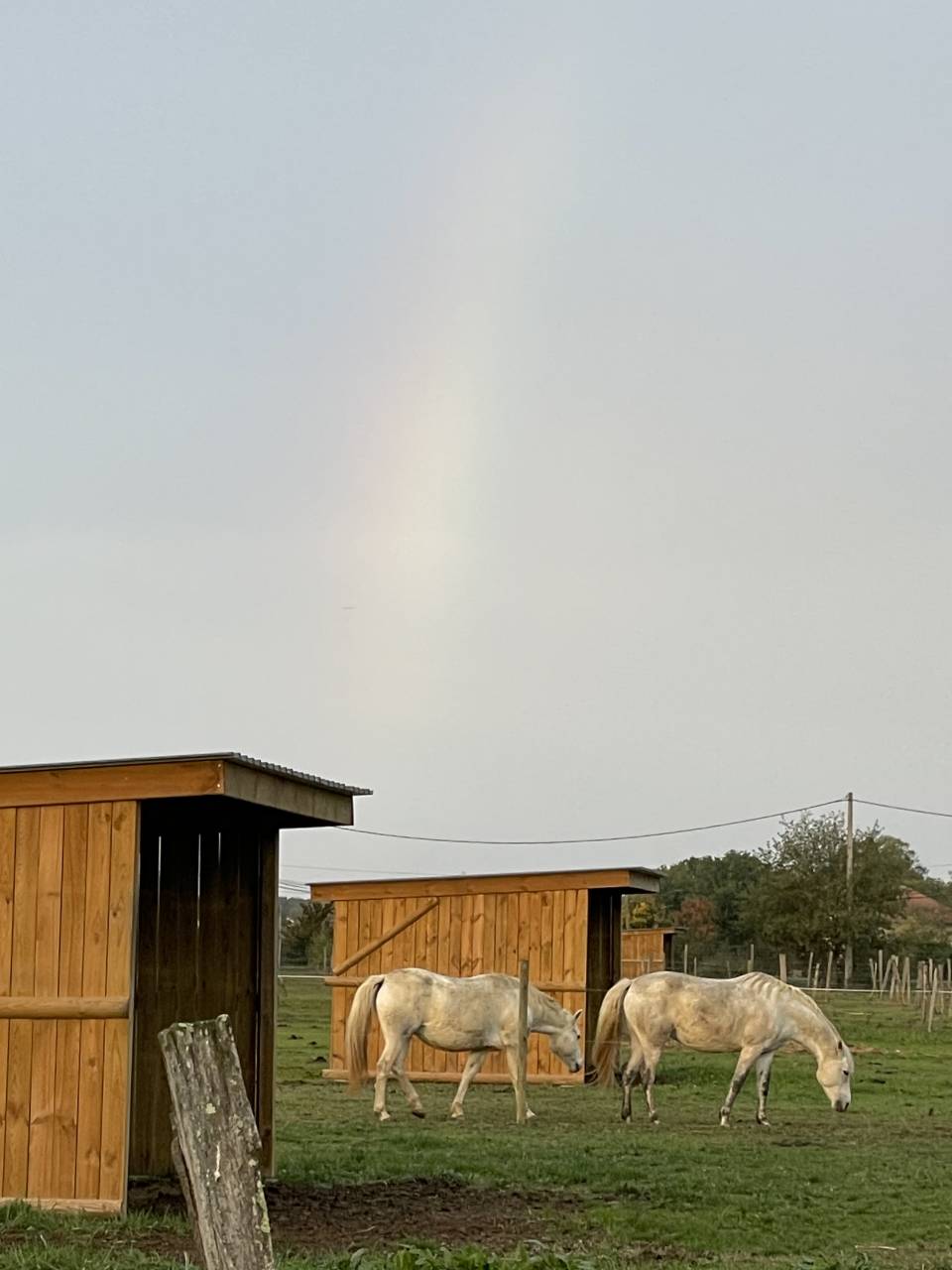 HARAS DE CUILLERET 