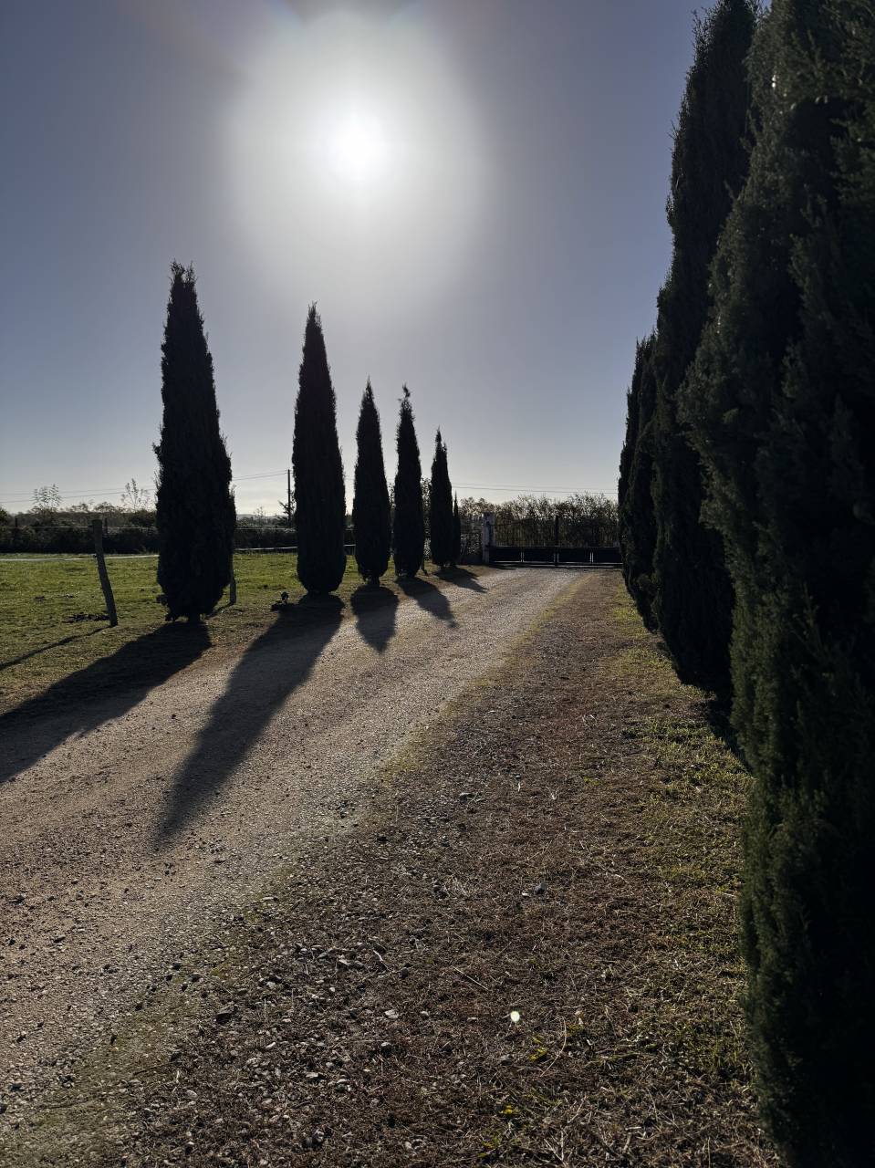 HARAS DE CUILLERET 