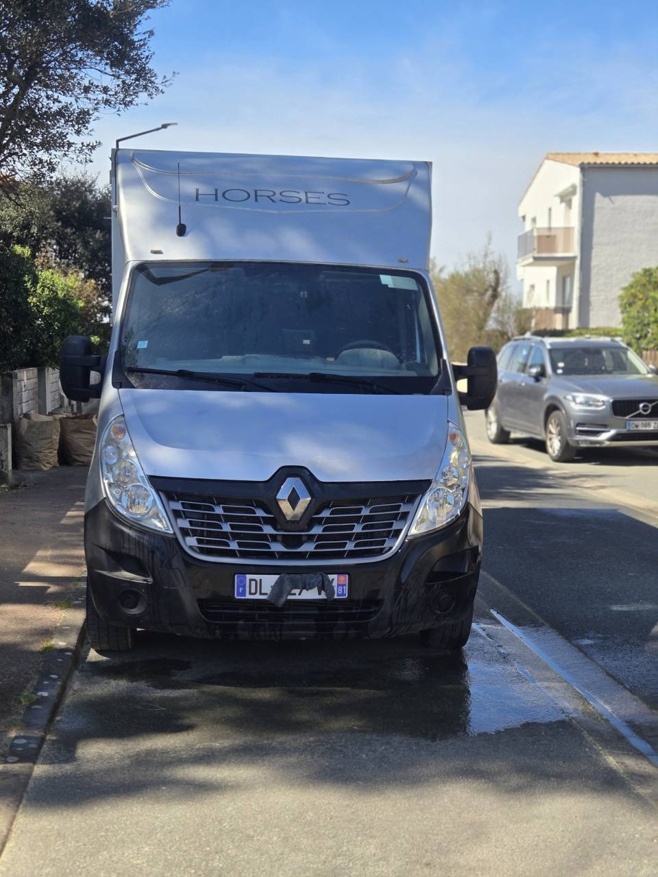 Van per Cavalli Renault Master 2014 Occasione