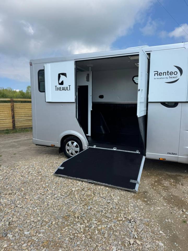 Van per Cavalli Renault Master  2017 Occasione