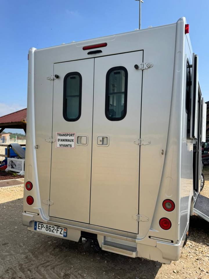 Van per Cavalli Renault Master  2017 Occasione