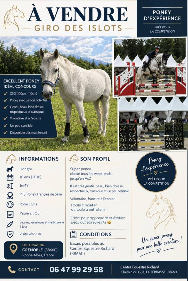 Castrone PFS Pony Francese da Sella In vendita 2016 Grigio
