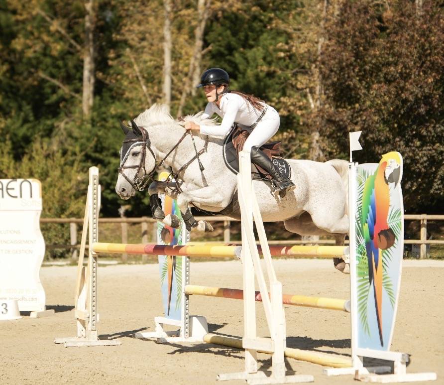 Castrone PFS Pony Francese da Sella In vendita 2016 Grigio