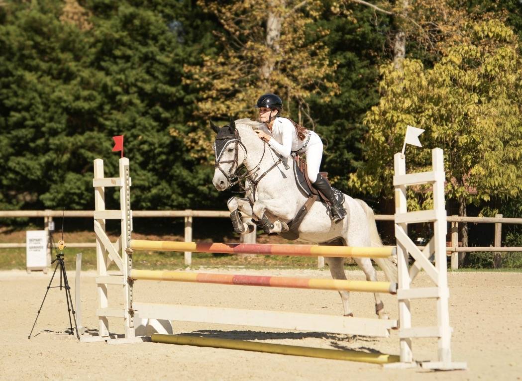 Castrone PFS Pony Francese da Sella In vendita 2016 Grigio