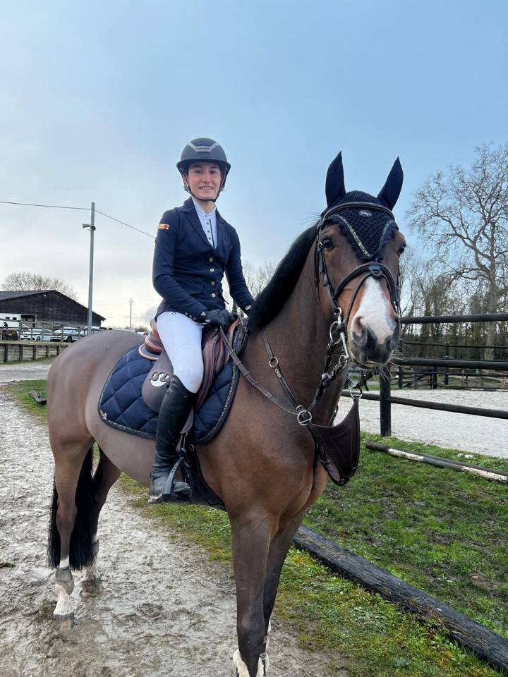 Castrone Pony da Sella Belgio In vendita 2018 Baio