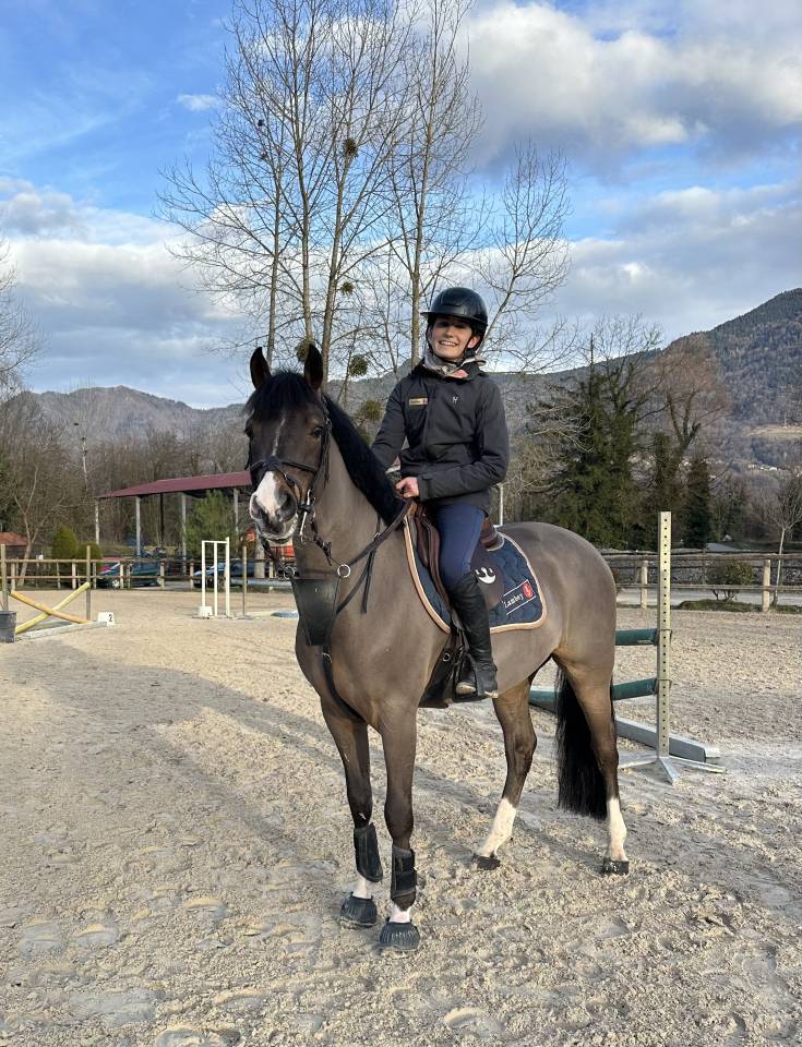Castrone Pony da Sella Belgio In vendita 2018 Baio