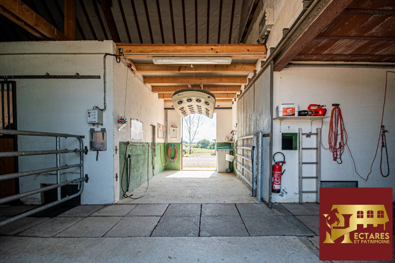 Centro di stagione cavallo In vendita Sa&ocirc;ne-et-Loire