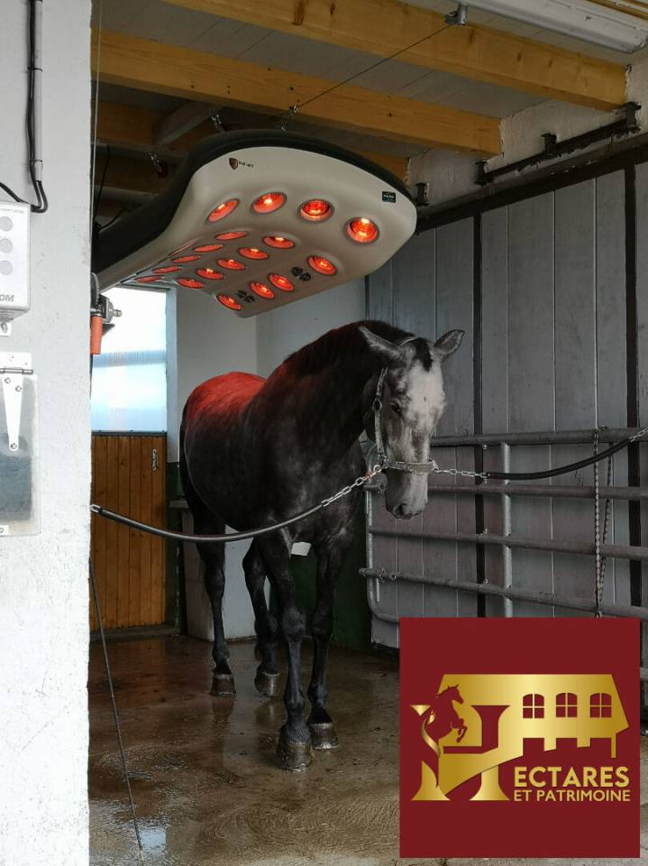 Centro di stagione cavallo In vendita Sa&ocirc;ne-et-Loire