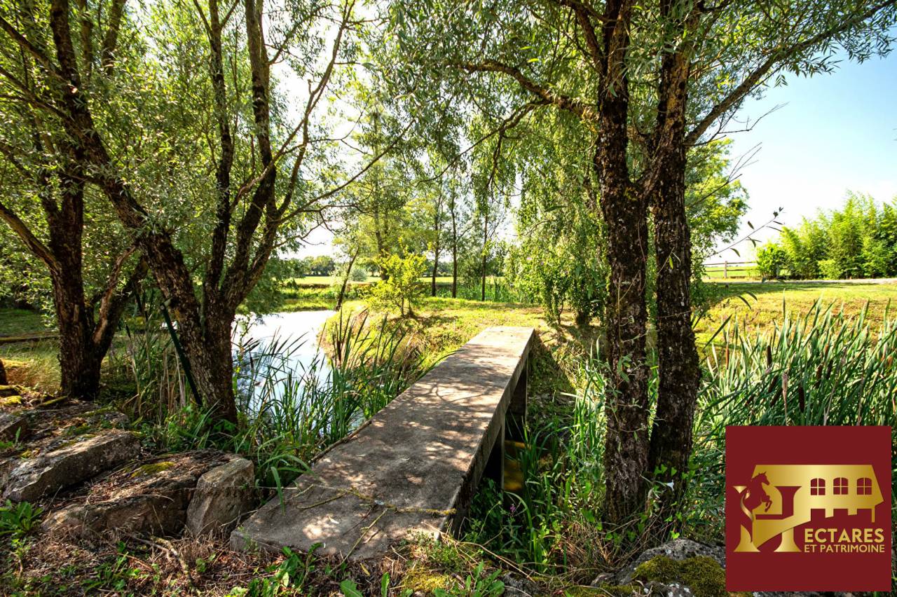 Centro di stagione cavallo In vendita Sa&ocirc;ne-et-Loire